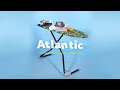 Дошка для прасування Colombo Atlantic (A180L01W)