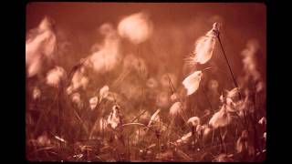 Mighty Oaks - Driftwood Seat