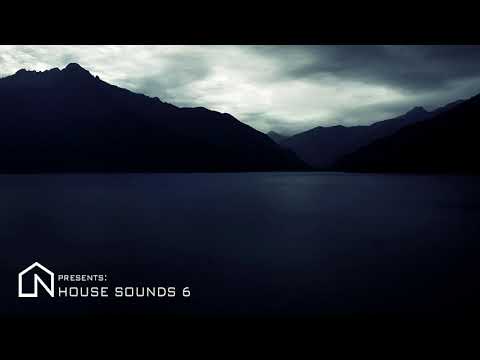 Atmospheric Vibes - Instrumental Deep House mix [LN House Sounds]