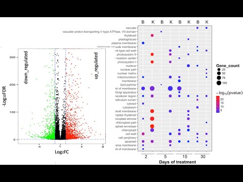 R tutorials 14:  ggplot point, save, cases of dotplot in publication