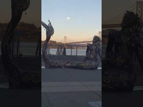 The "Mermaid on the Embarcadero" #Coralee Enjoying Looking at The Moon 🌕🧜🌠
