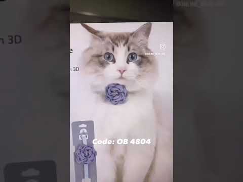 Pet Collar (OB 4804)