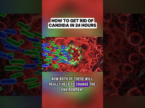 The FASTEST Way to Get Rid of Candida (Do This Now)