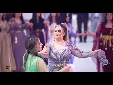 Imad Selim Rami & Shaima Kurdische Hochzeit 2023 #DilocanPro