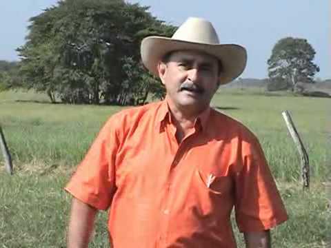 Jairo Jiménez   09 Mi llano en mayo