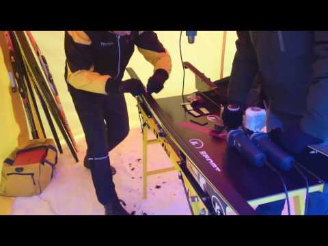 Цикля Кузьмина