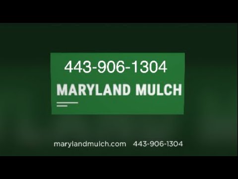 Express Care Severna Park Md 03/2022