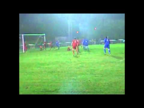 The Punch (London Colney)