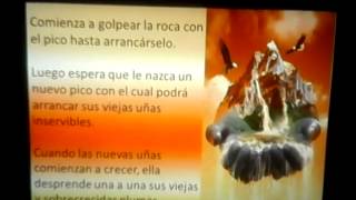 Lis Majetic: Aguila - Animal de Revelación, Cap.4: ADN ESPIRITUAL