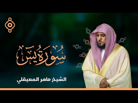 Surat Yasin Maher Al Muaiqly | سورة يس  - الشيخ ماهر المعيقلي
