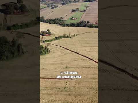 Propriedade em jesuítas Paraná.