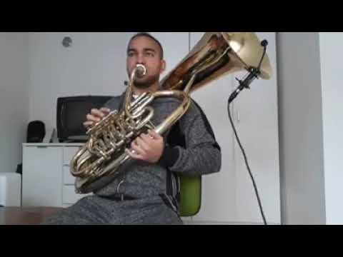 Eyal Amir ft. Jordan Rudess and Tammy Scheffer - Moves Like Jagger Nego Bass - Cover -