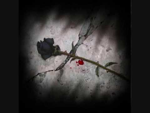 Süsimust Roos The Tuberkuloited