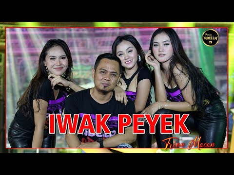 Iwak Peyek - Trio Macan - OM ADELLA