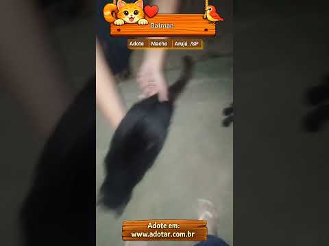 Vídeo de Batman