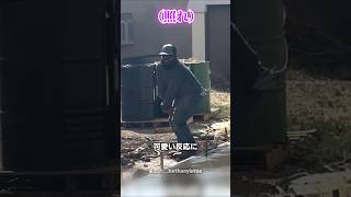 妻に褒められるのが大好きな夫