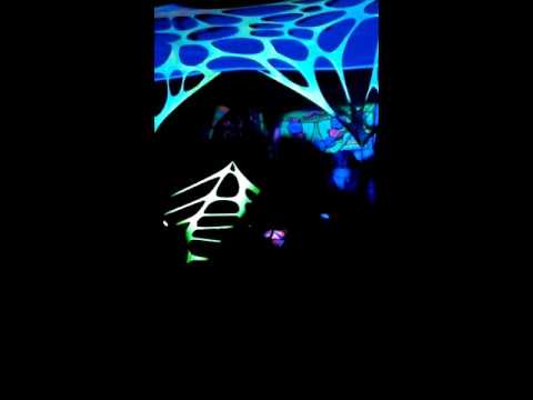 Datalordz / DMTryptamine Part 2