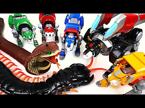 Giant Cobra and insect appeared! Voltron Legendary Defender! Save the Lion Guard! - DuDuPopTOY