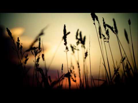 WiSkiM - The Start Up