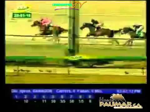 VALENCIA 6 CARRERA, JUEVES 28 DE ENERO DEL 2016