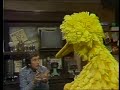 Sesame Street 1405 Street Scenes Big Bird Takes Ballet Lessons