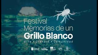 Lanzarote celebra el festival "Memorias de un Grillo Blanco"