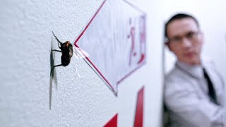 ENTRE 13 DESAFIOS HOMEM PRECISA MATAR E COMER UMA MOSCA PARA GANHAR 6 MILHÕES DE DÓLARES!
