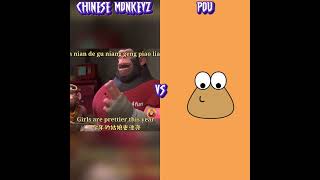Chinese Monkeyz Vs Pou Who Is Best ? 😭🤞🤣 #Shorts