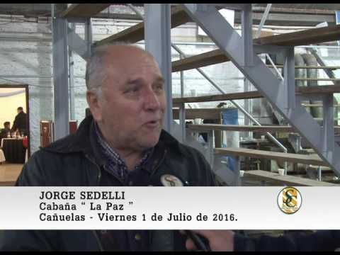 01-07-16 Nota Jorge Sedelli - Cabaña La Paz - Cañuelas.