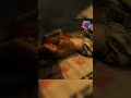 Imli Ullu Originals Part 1 Review Ullu New Web Series Imli Nehal Vadoliya Short