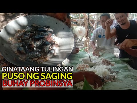 Ginataang Tulingan with Puso ng Saging | Buhay sa Probinsya
