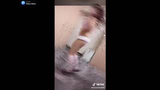 《エロTikTok》たまらない楽天ポイント