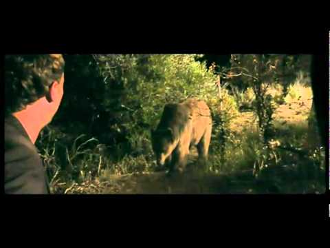 Bear - Trailer (OmU)