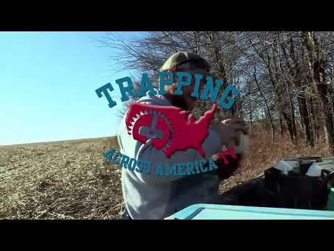 Missouri Predator Trapping - Trapping Across America TV