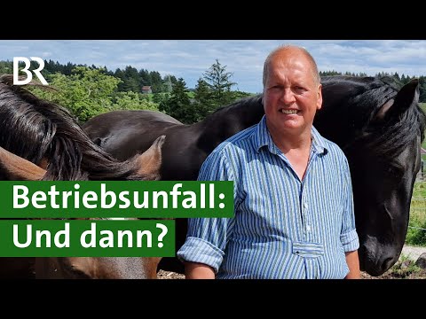 Nach tragischem Unfall: Milchbauer wagt Neuanfang mit Pferdehof | Hofgeflüster | Unser Land | BR