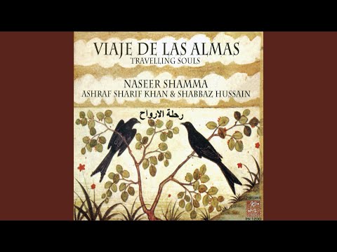 Viaje de las Almas. Travelling Souls