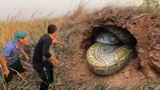 A young man was frightened when he was attacked by a giant python