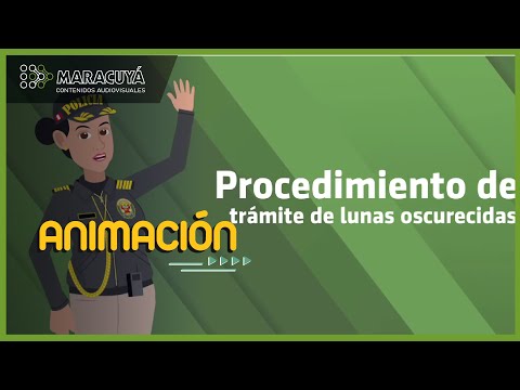 TRÁMITE DE LUNAS POLARIZADAS - PNP