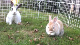 I&#39;ll watch your back, you watch mine!