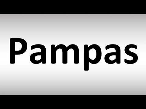 How to Pronounce Pampas