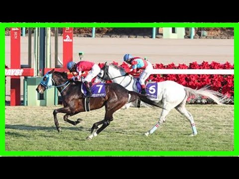 【中山大障害】オジュウチョウサンが史上初のｊ・ｇｉ４勝目