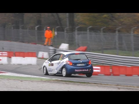 2°Special Rally Circ.Vedovati 2017 Cancelli-Tagliaferri by Ferrario Video