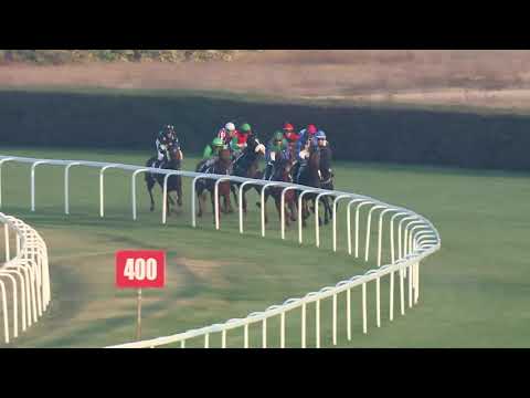 2019.10.27. 08. futam - KÉTÉVESEK KRITÉRIUMA (HUN Gd-3)