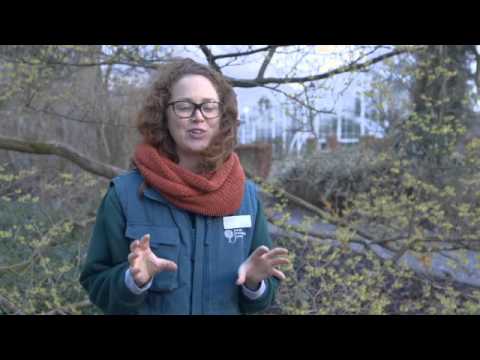 download lagu mp3 mp4 Hampton Court Flower Show Jobs, download mp3 Hampton Court Flower Show Jobs free downloadn, video klip Hampton Court Flower Show Jobs