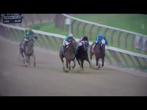 HONORABLE MISS H, (G 2)STAKES 2017 - PAULASSILVERLINING !!!