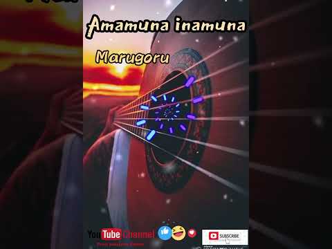 Amamuna inamuna-Marugoru(Aroma Local)