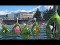 Finding Dory Scene After Credits 1080p