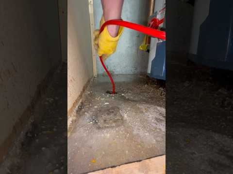Works Great Clearing Small Drains! #plumber #plumbing #draincleaning #spokane