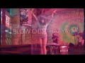 Stacia Prod By Nk Music