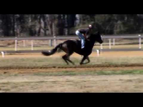 Eaton Square in training at the Vaal